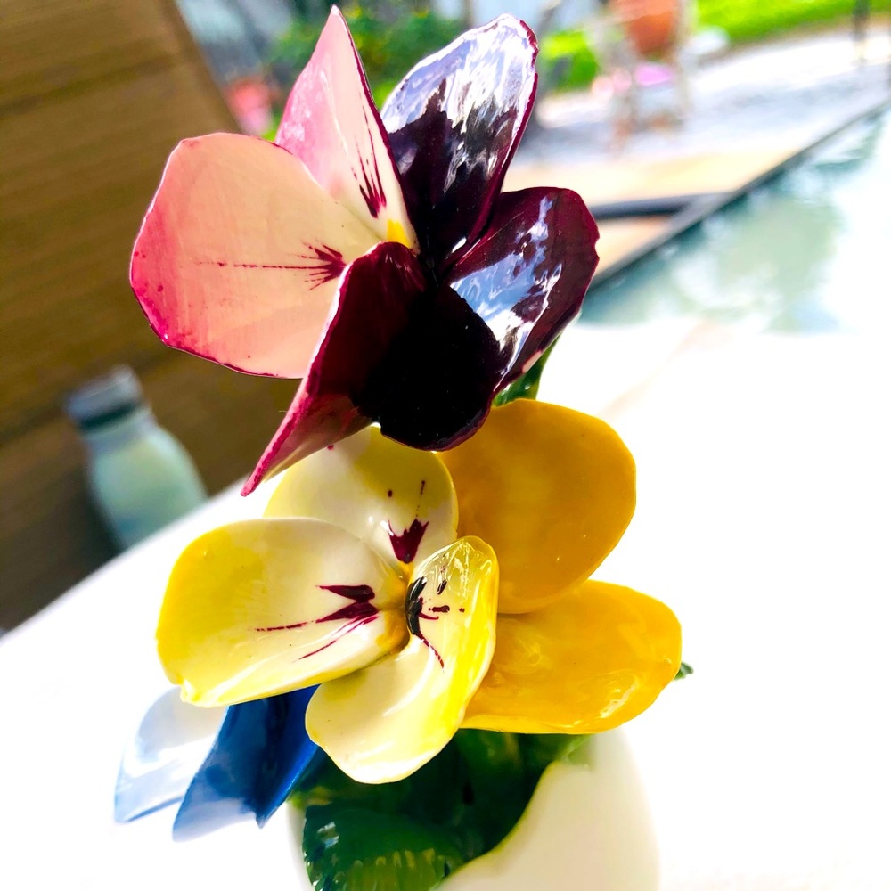 Vintage fine bone China Royal york peonies